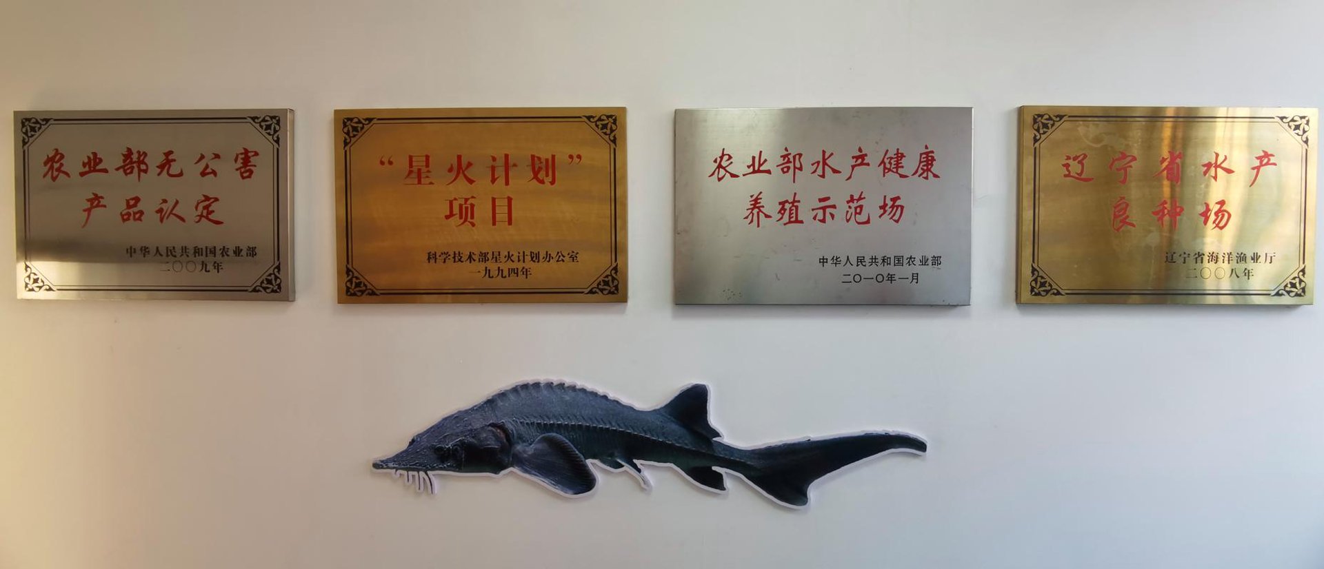 大连水产网